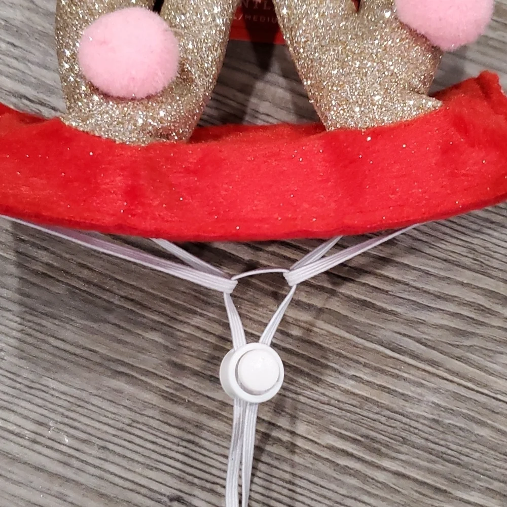 HOST PICK Wondershop Christmas Reindeer Antlers